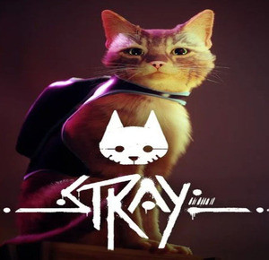 Stray